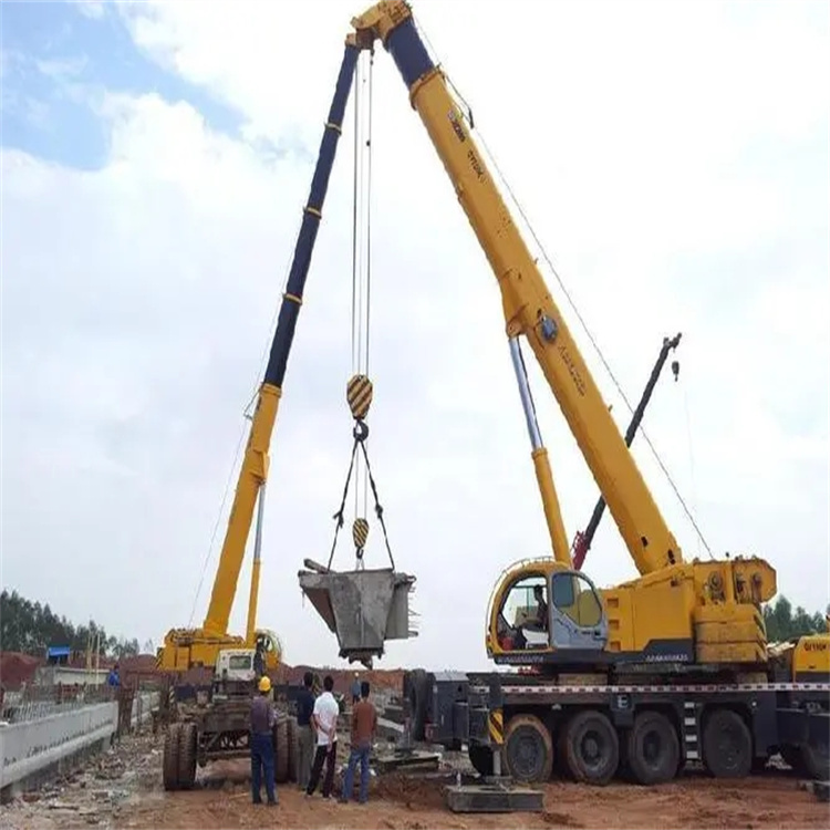 田东小型吊机出租电话|厂房设备吊装方案|24小时服务覆盖