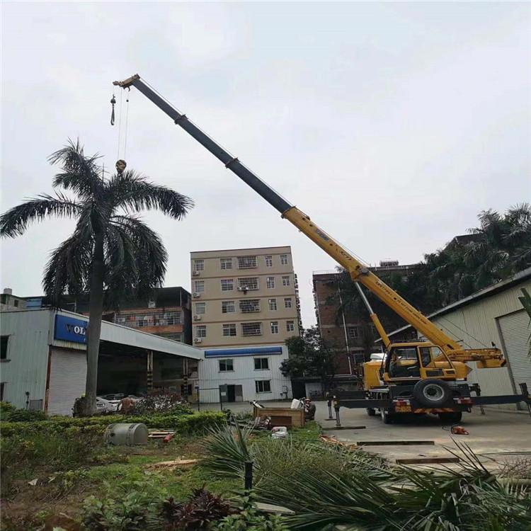 田东吊车吊大树几种方法